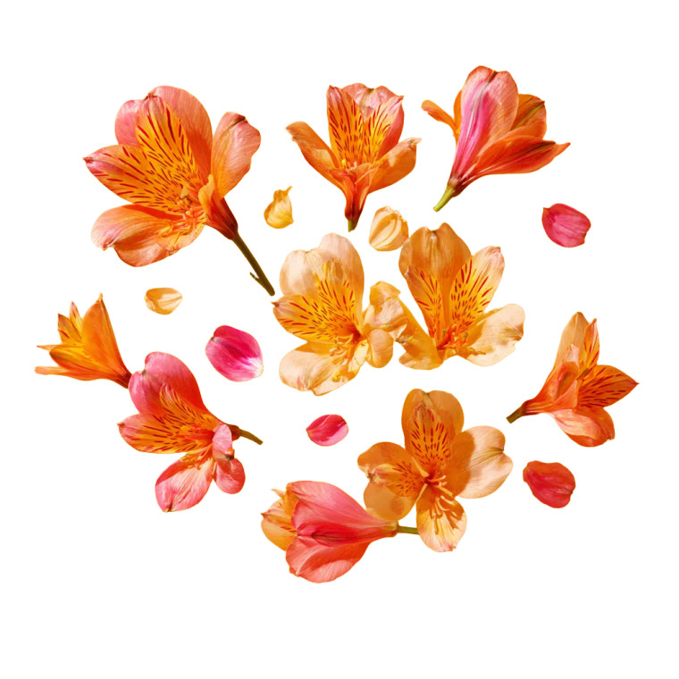 Falling Flowers Vinyl Car Decal Sticker – Waterproof & UV-Resistant 3.4133333333333336"