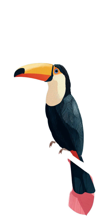 Pink-Leaf Toucan Vinyl Car Decal Sticker – Waterproof & UV-Resistant 10.2