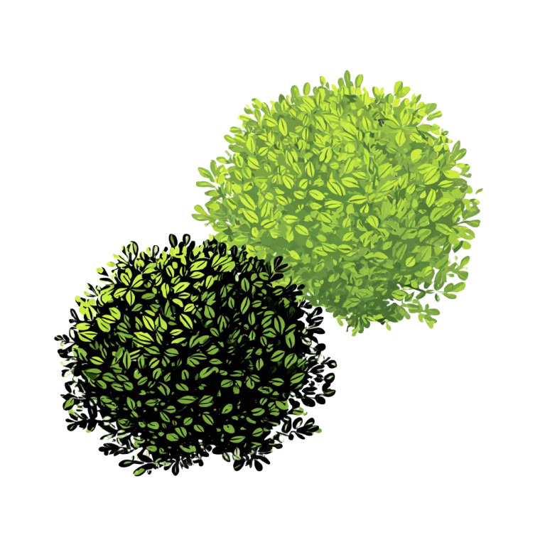 Leafy Green Shrub Vinyl Car Decal Sticker – Waterproof & UV-Resistant 6.826666666666667"