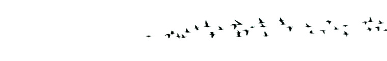 Flock Silhouette Vinyl Car Decal Sticker – Waterproof & UV-Resistant 2.8