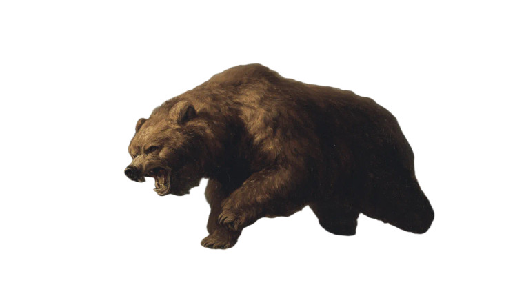 Angry Roaring Bear V9 Vinyl Car Decal Sticker – Waterproof & UV-Resistant 2.72"