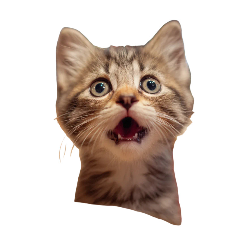 Shocked Fluffy Kitten Vinyl Car Decal Sticker – Waterproof & UV-Resistant 3.4133333333333336"