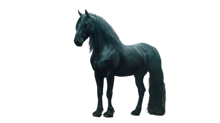 Ethereal Dark Horse Vinyl Car Decal Sticker – Waterproof & UV-Resistant 2.72"