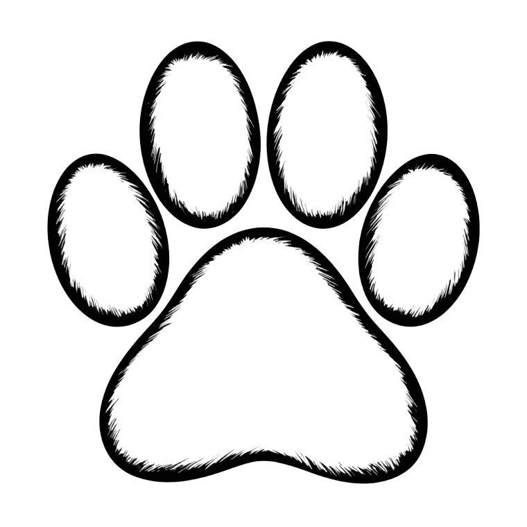 Paw Outline Vinyl Car Decal Sticker – Waterproof & UV-Resistant 3.4133333333333336"
