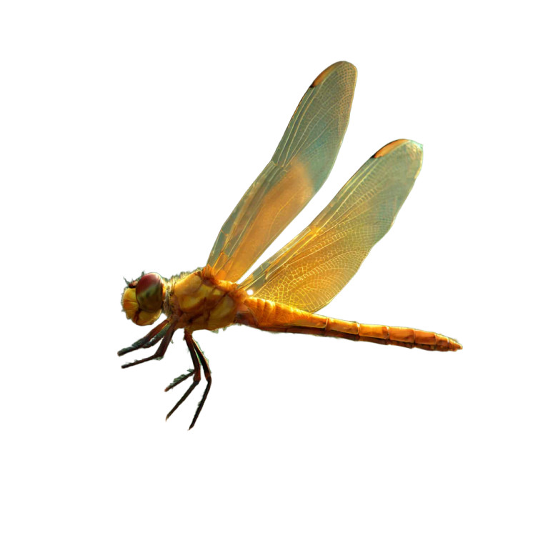 Dragonfly On Flower V2 Vinyl Car Decal Sticker – Waterproof & UV-Resistant 3.4133333333333336"
