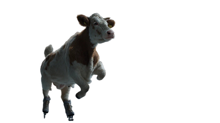 Skating Cow Spin Vinyl Car Decal Sticker – Waterproof & UV-Resistant 5.4