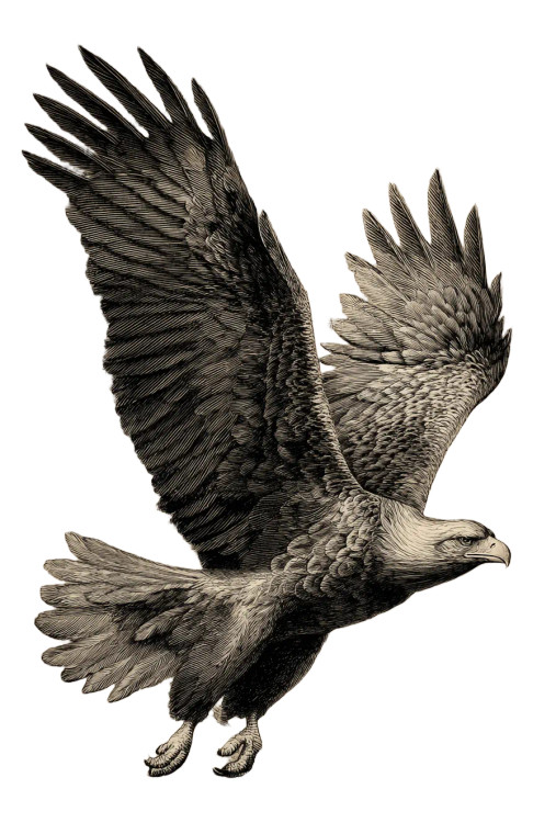 Vintage Flying Eagle Vinyl Car Decal Sticker – Waterproof & UV-Resistant 4.4