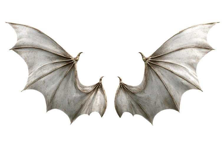 Bat Wings V6 Vinyl Car Decal Sticker – Waterproof & UV-Resistant 2.986666666666667"