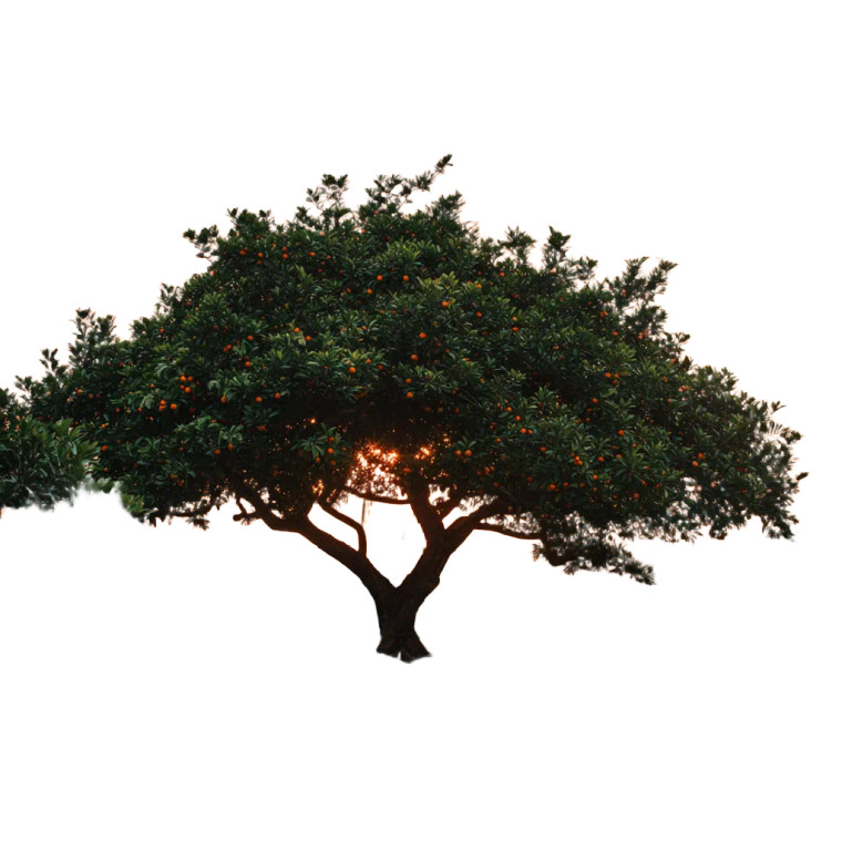 Sunset Fortune Tree Vinyl Car Decal Sticker – Waterproof & UV-Resistant 3.4133333333333336"