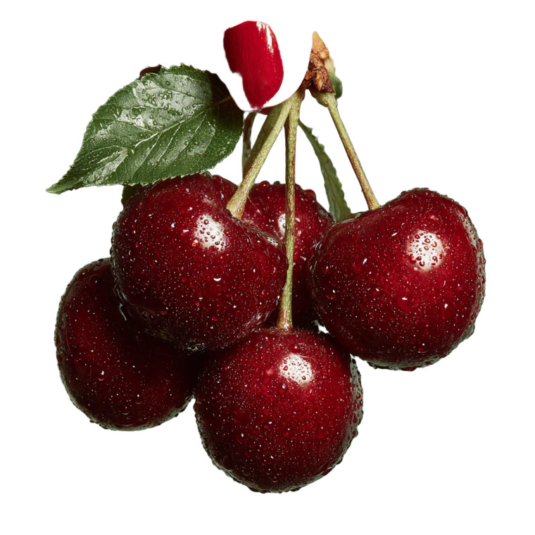 Hand Holding Cherries V2 Vinyl Car Decal Sticker – Waterproof & UV-Resistant 6.826666666666667"