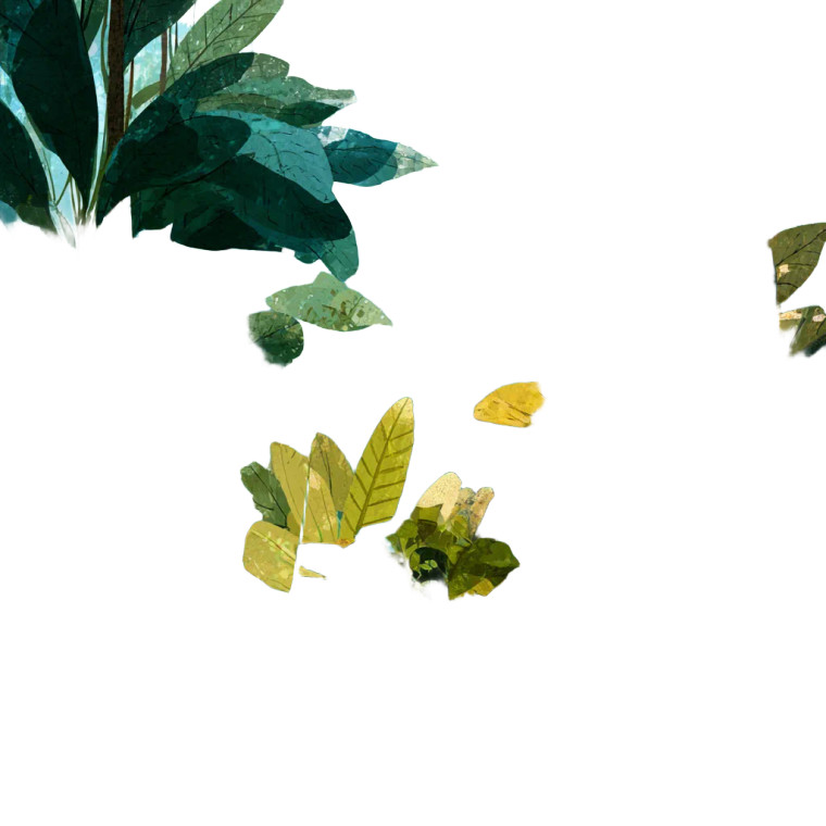 Rainforest Plants Vinyl Car Decal Sticker – Waterproof & UV-Resistant 3.4133333333333336"