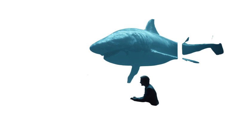 Megalodon Dining Scene Vinyl Car Decal Sticker – Waterproof & UV-Resistant 5.4