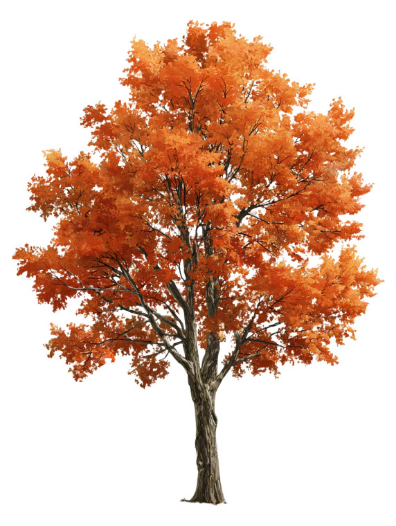Autumn Tree V2 Vinyl Car Decal Sticker – Waterproof & UV-Resistant 8.213333333333333"