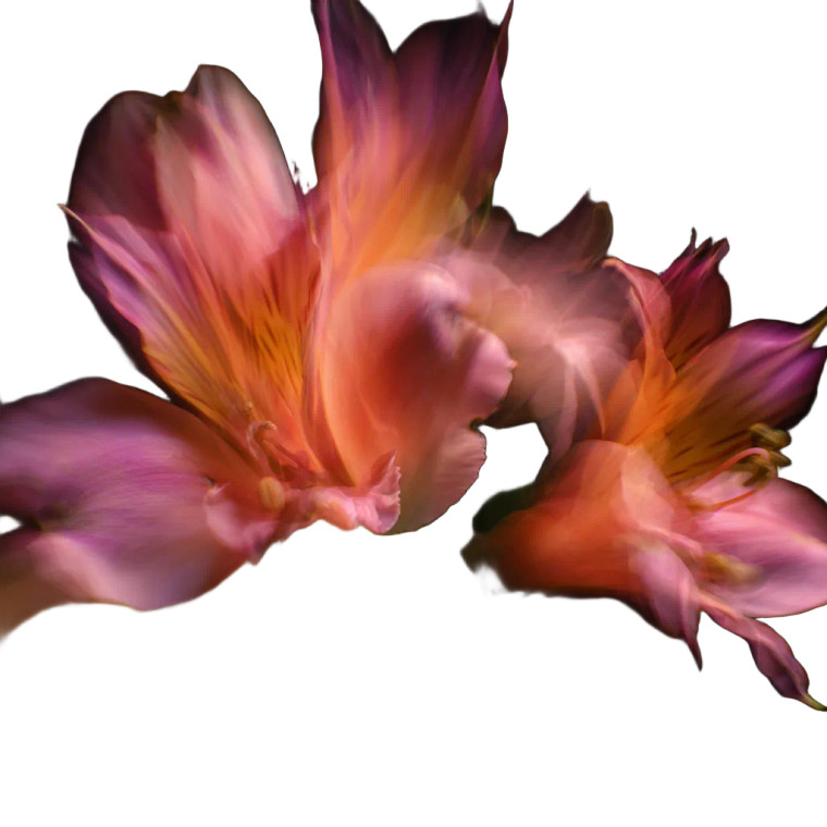 Abstract Floral Blur Vinyl Car Decal Sticker – Waterproof & UV-Resistant 6.826666666666667"