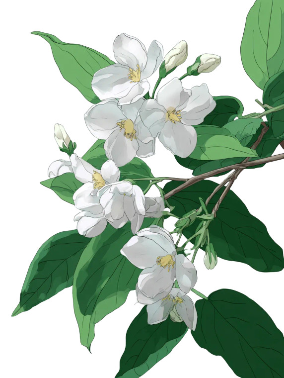 Delicate Jasmine Flower Vinyl Car Decal Sticker – Waterproof & UV-Resistant 4.1066666666666665"