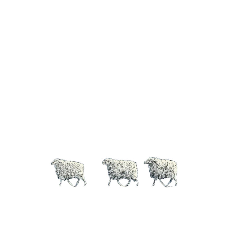 Moonlit Sheep Walk Vinyl Car Decal Sticker – Waterproof & UV-Resistant 6.826666666666667"