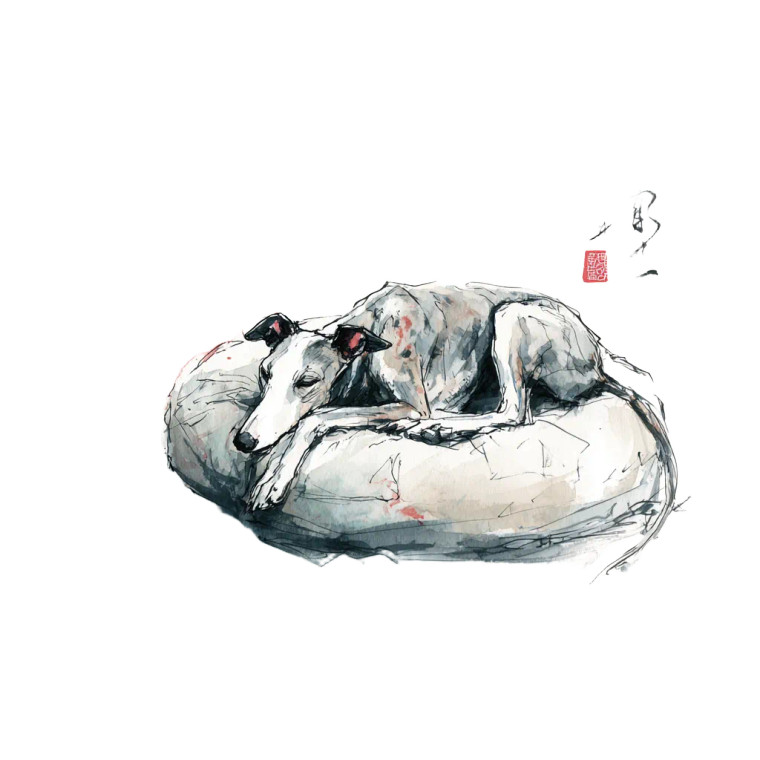 Sleeping Greyhound Sketch Vinyl Car Decal Sticker – Waterproof & UV-Resistant 3.4133333333333336"