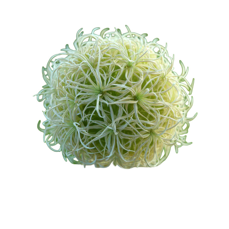 Floral Sphere Float Vinyl Car Decal Sticker – Waterproof & UV-Resistant 6.826666666666667"