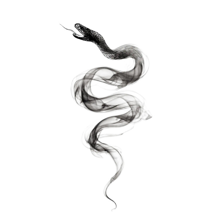 Smoke Snake Vinyl Car Decal Sticker – Waterproof & UV-Resistant 3.4133333333333336"