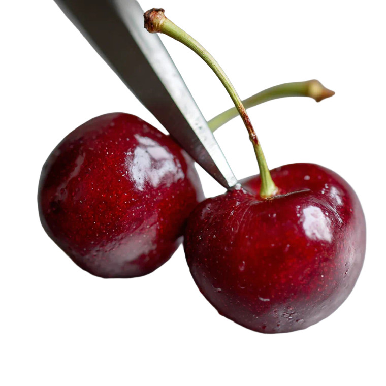 Cherries Cut Half Vinyl Car Decal Sticker – Waterproof & UV-Resistant 6.826666666666667"
