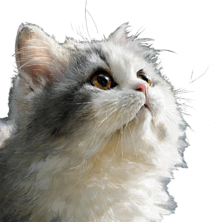 Ragdoll Cat V12 Vinyl Car Decal Sticker – Waterproof & UV-Resistant 3.4133333333333336"