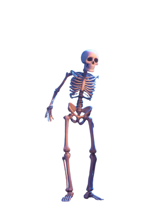 Skeleton Fun Illustration Vinyl Car Decal Sticker – Waterproof & UV-Resistant 8.213333333333333"