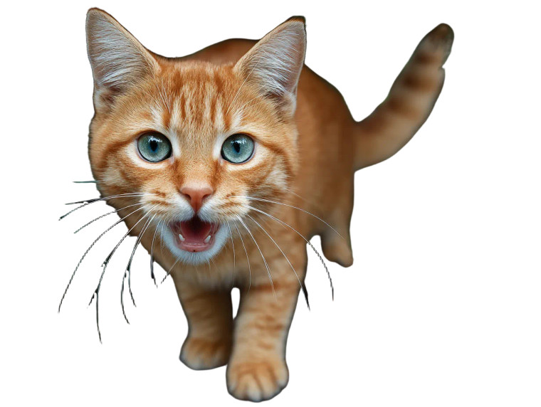 Mischievous Kitten Vinyl Car Decal Sticker – Waterproof & UV-Resistant 6.1866666666666665"