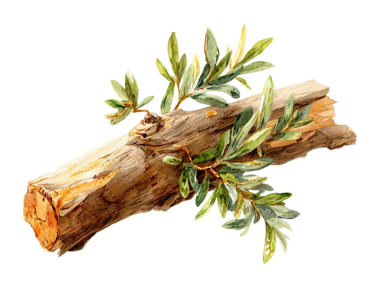 Watercolor Wooden Branch Vinyl Car Decal Sticker – Waterproof & UV-Resistant 6.1866666666666665"