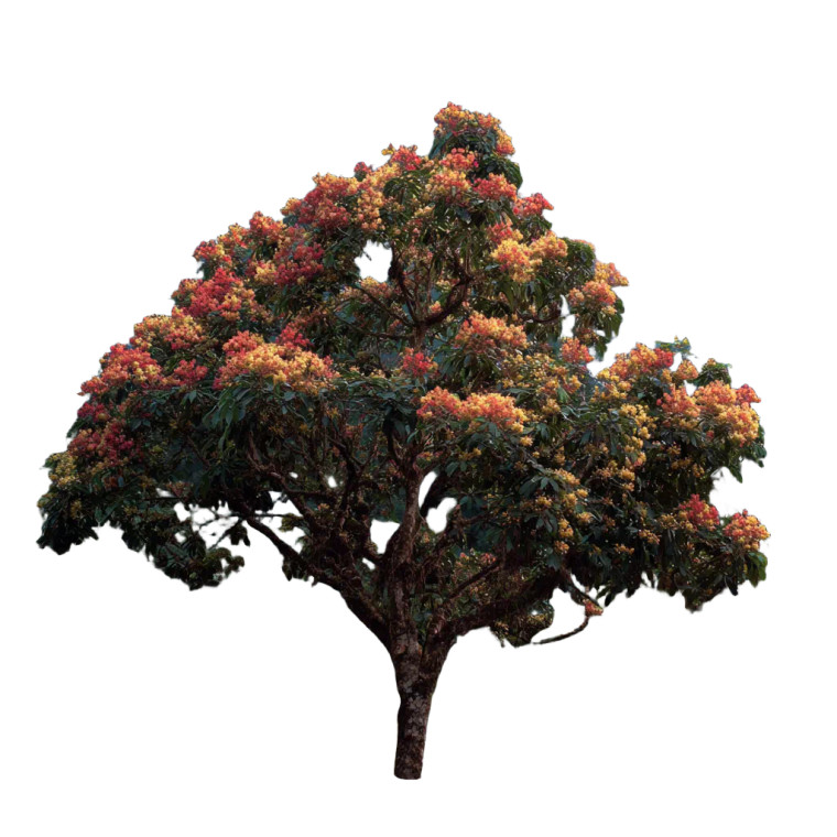 Rainforest Night Tree Vinyl Car Decal Sticker – Waterproof & UV-Resistant 3.4133333333333336"