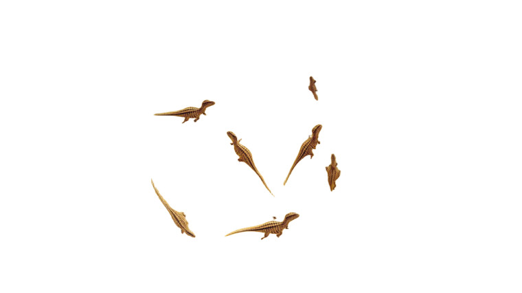 Baby Tyrannosaurs In Bowl Vinyl Car Decal Sticker – Waterproof & UV-Resistant 5.4