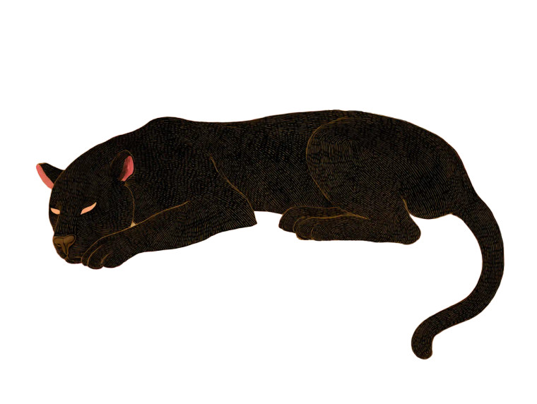 Mystical Floral Panther Vinyl Car Decal Sticker – Waterproof & UV-Resistant 6.1866666666666665"
