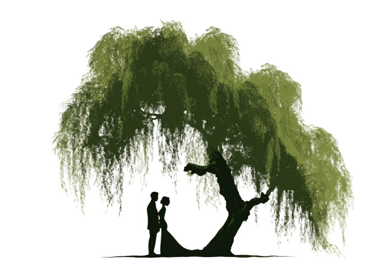 Couple Under Willow Vinyl Car Decal Sticker – Waterproof & UV-Resistant 3.0933333333333333"