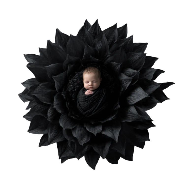 Black Flower Newborn V2 Vinyl Car Decal Sticker – Waterproof & UV-Resistant 3.4133333333333336"