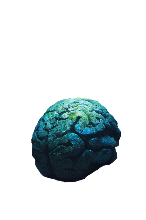 Magical Stone Brain Vinyl Car Decal Sticker – Waterproof & UV-Resistant 4.4
