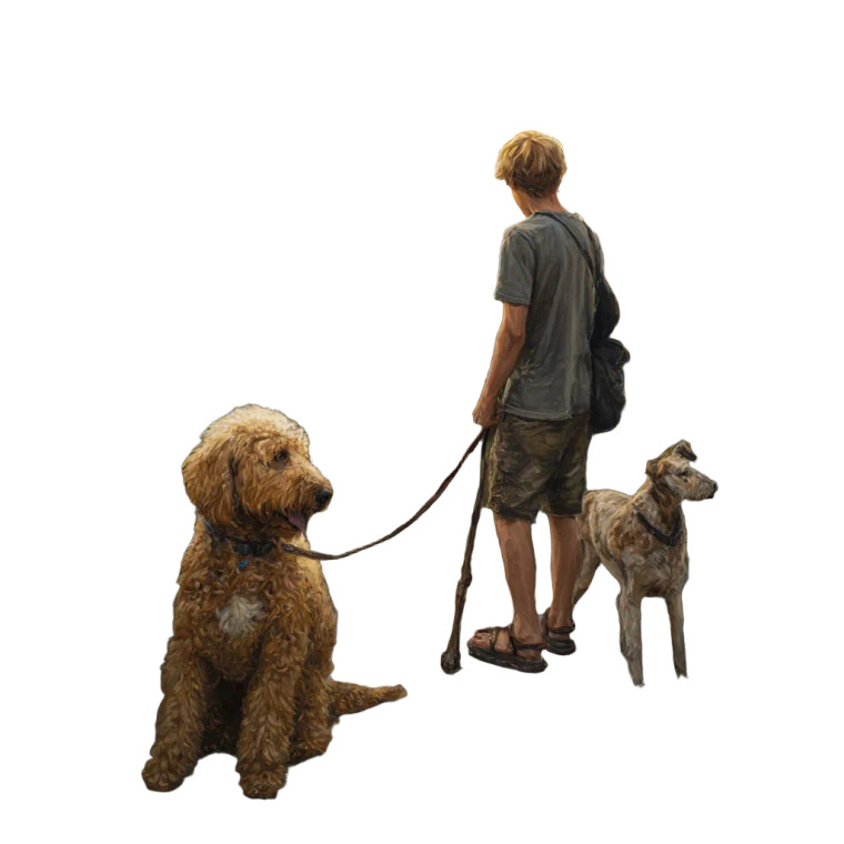 Walking With Poodle Vinyl Car Decal Sticker – Waterproof & UV-Resistant 3.4133333333333336"