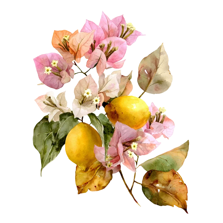 Bouganvillea Bouquet Vinyl Car Decal Sticker – Waterproof & UV-Resistant 3.4133333333333336"