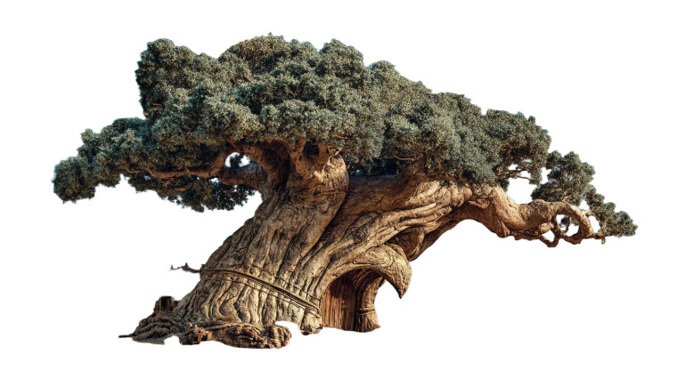 Ancient Desert Tree Vinyl Car Decal Sticker – Waterproof & UV-Resistant 5.4