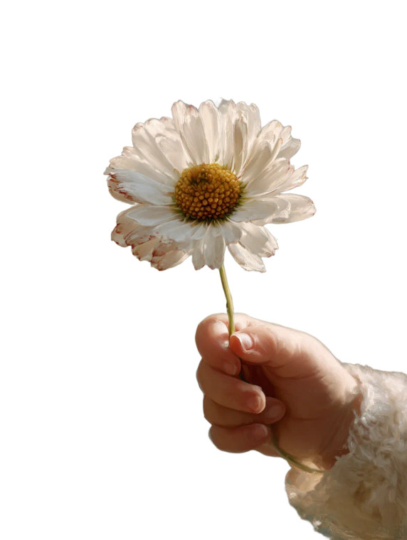 Daisy In Hand V2 Vinyl Car Decal Sticker – Waterproof & UV-Resistant 4.1066666666666665"