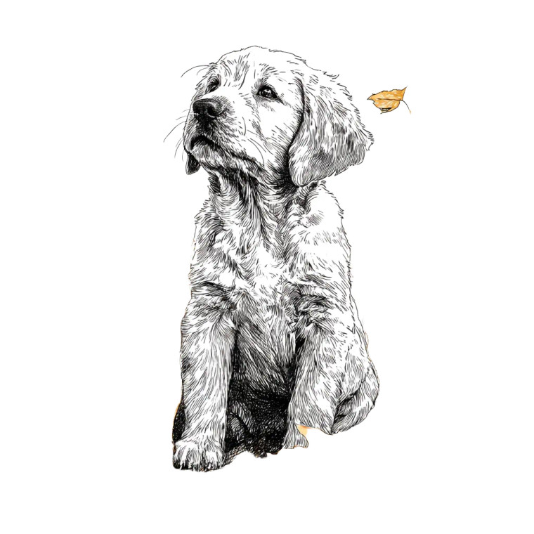 Golden Retriever Puppy V64 Vinyl Car Decal Sticker – Waterproof & UV-Resistant 3.4133333333333336"