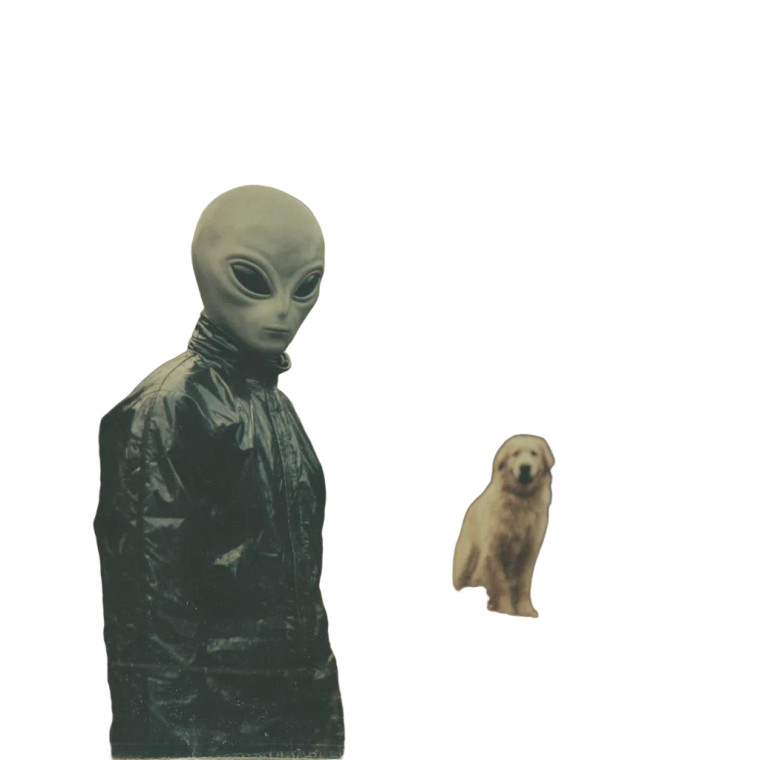 Mystical Alien Encounter Vinyl Car Decal Sticker – Waterproof & UV-Resistant 6.826666666666667"