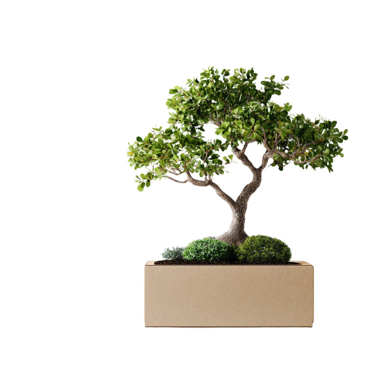 Bonsai On Cardboard Vinyl Car Decal Sticker – Waterproof & UV-Resistant 6.826666666666667"