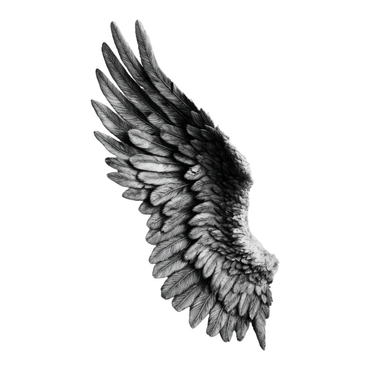 Angel Wing V5 Vinyl Car Decal Sticker – Waterproof & UV-Resistant 3.4133333333333336"
