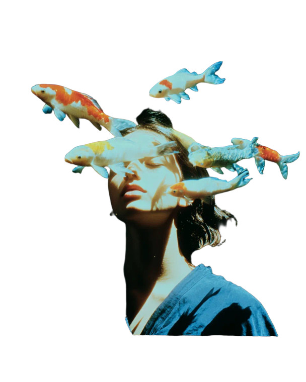 Mystical Koi Dance Vinyl Car Decal Sticker – Waterproof & UV-Resistant 8.0"