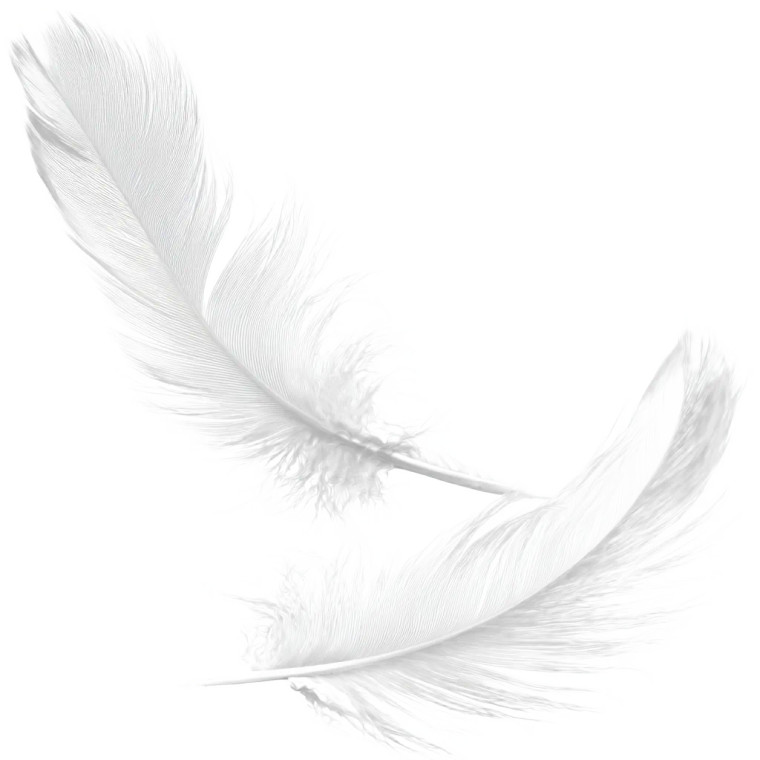 White Feather V4 Vinyl Car Decal Sticker – Waterproof & UV-Resistant 6.826666666666667"