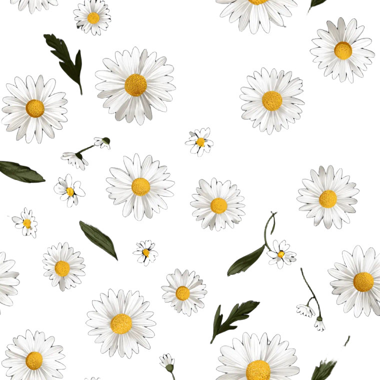 White Daisies V2 Vinyl Car Decal Sticker – Waterproof & UV-Resistant 3.4133333333333336"