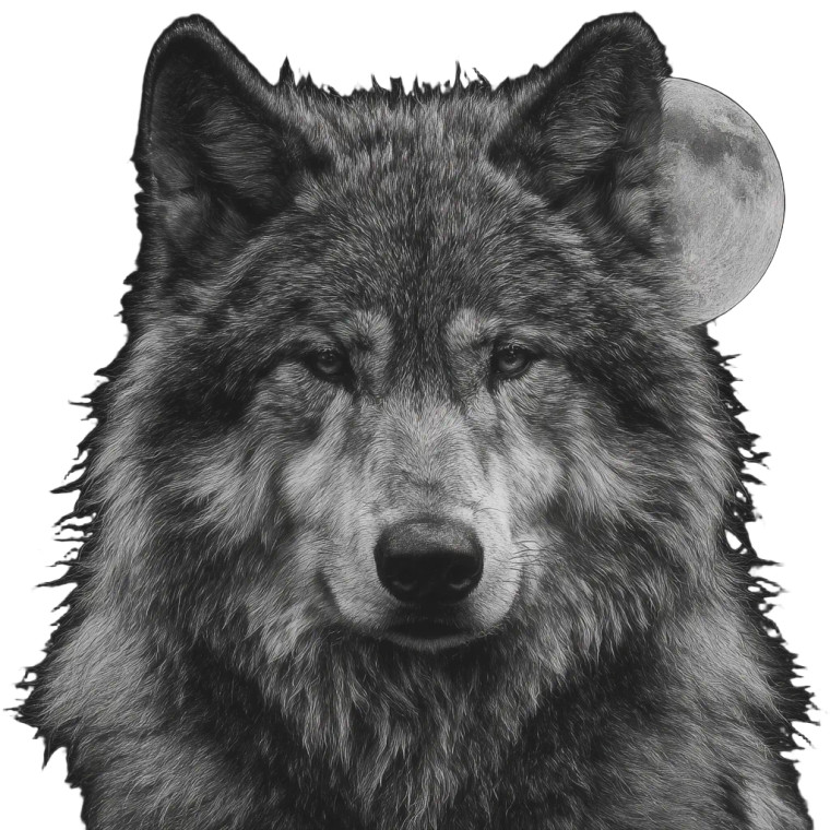 Moonlit Wolf Vinyl Car Decal Sticker – Waterproof & UV-Resistant 3.4133333333333336"