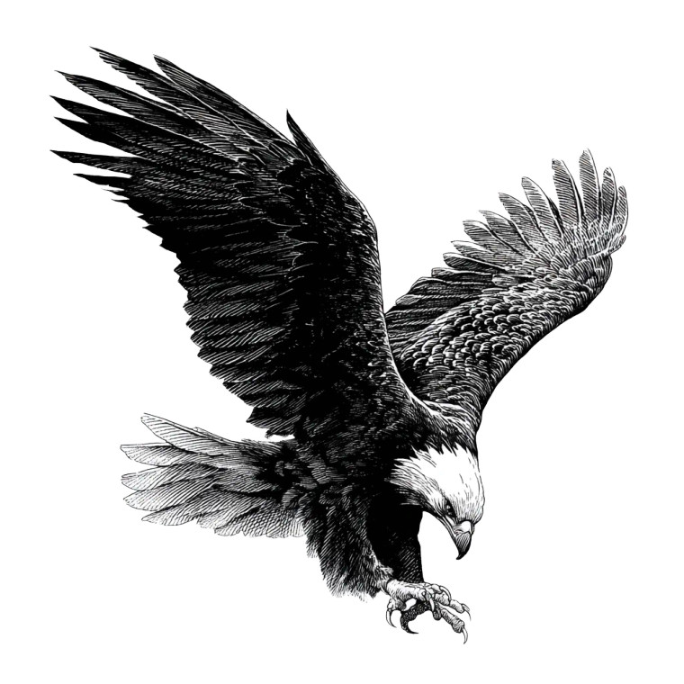 Diving Eagle Tattoo Vinyl Car Decal Sticker – Waterproof & UV-Resistant 3.4133333333333336"