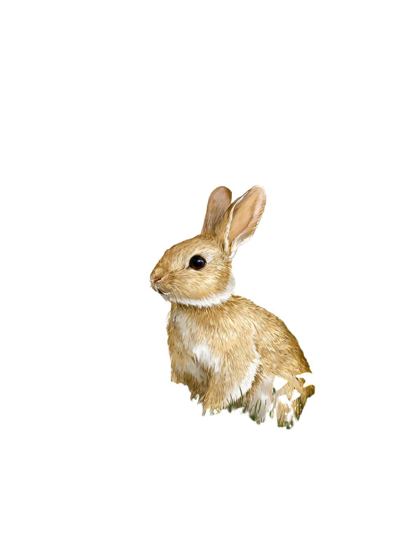 Easter Bunny Floral Vinyl Car Decal Sticker – Waterproof & UV-Resistant 8.32"