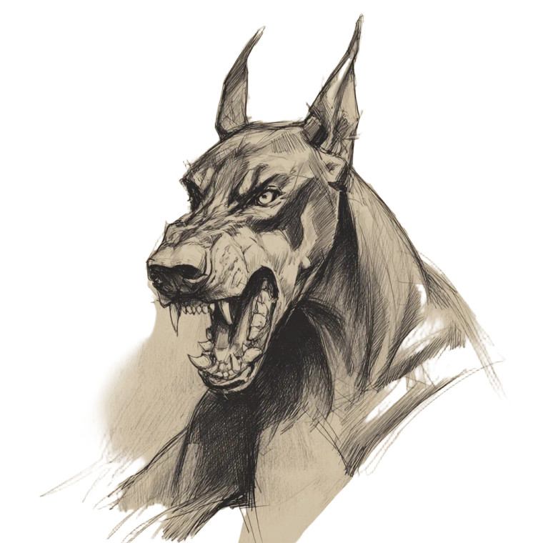 Snarling Doberman Sketch Vinyl Car Decal Sticker – Waterproof & UV-Resistant 3.4133333333333336"