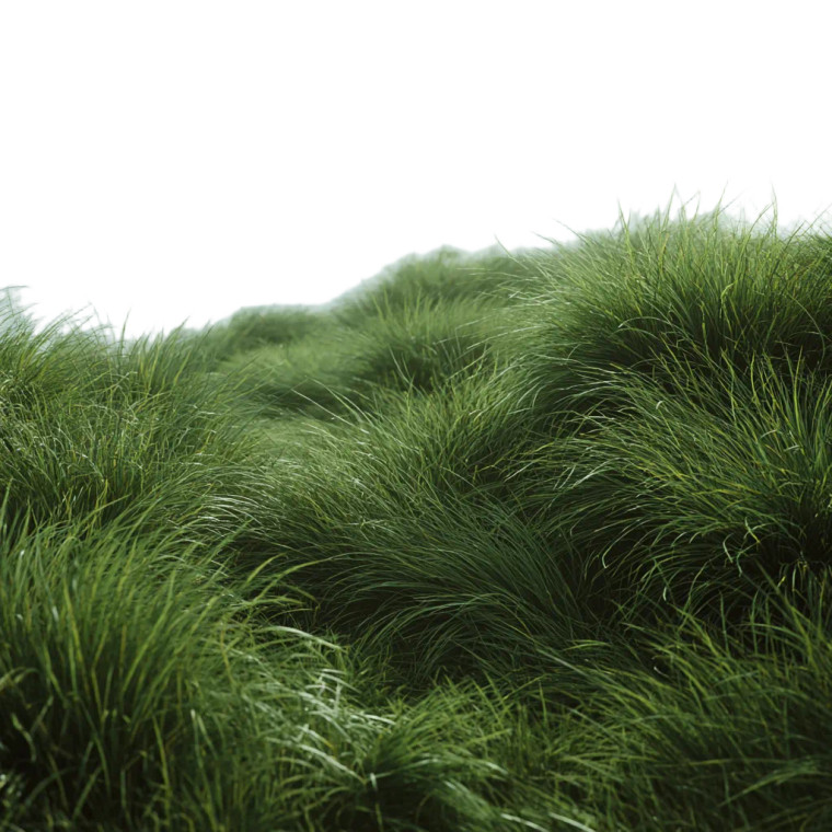 Grass Vinyl Car Decal Sticker – Waterproof & UV-Resistant 3.4133333333333336"